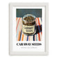 Caraway Seeds – on Striped Tablecloth, Spices Wall Poster, placed in minimal white frame
