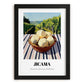 Jicama – Green Valley Landscape, Vegetable Poster, in sleek black frame