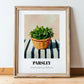 Parsley – on Striped Tablecloth, Fresh Herbs Illustration, in wooden frame leaning on the floor