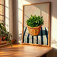 Parsley – on Striped Tablecloth, Fresh Herbs Illustration, clean layout with no caption