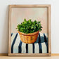 Parsley – on Striped Tablecloth, Fresh Herbs Illustration, no-text version framed in wood