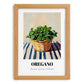 Oregano – on Striped Tablecloth, Fresh Herbs Painting, set in oak frame