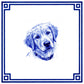 Pet Portrait