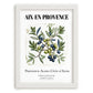 Aix-en-provence, France – Travel Wall Decor, placed in minimal white frame